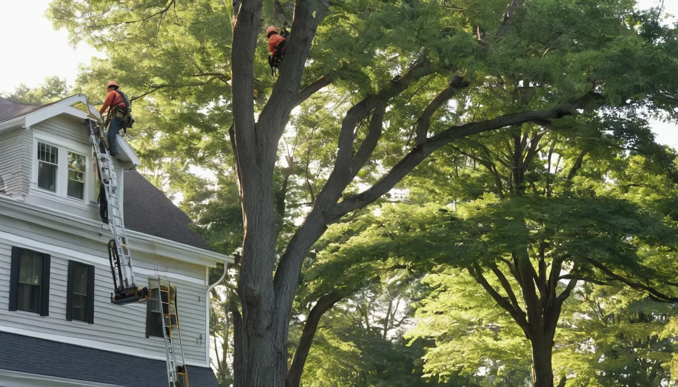 Tree removal crew safely taking down a large tree beside a home in Waterbury